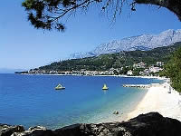 Podgora