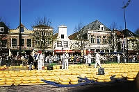 Alkmaar