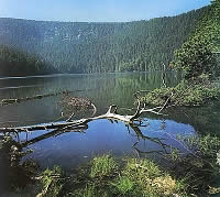 Šumava - Černé jezero