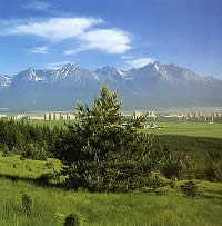 Vysoké Tatry