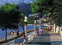 Podgora