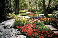 Nizozemsko - park